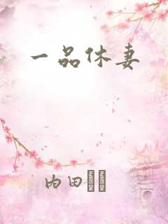 一品休妻
