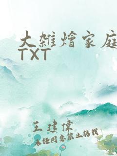 大杂烩家庭小说TXT