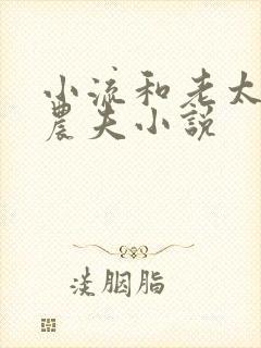 小流和老太69农夫小说