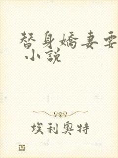 替身娇妻要离婚 小说