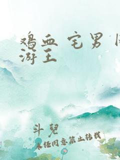 鸡血 宅男 网游王