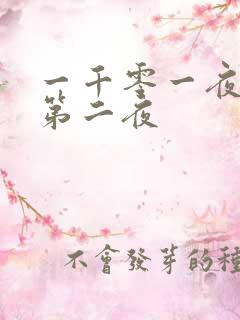 一千零一夜倒数第二夜
