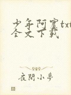 少年阿宾txt全文下载