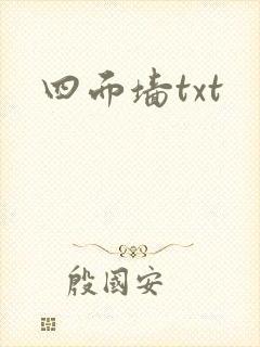 四面墙txt