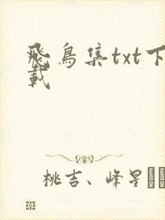 飞鸟集txt下载