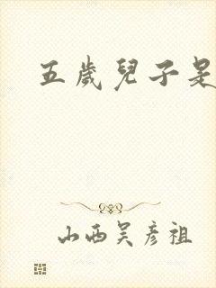 五岁儿子是相公