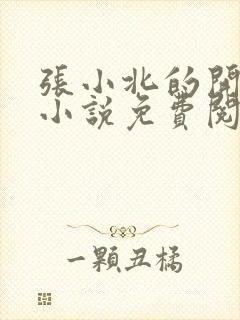 张小北的开光师小说免费阅读怎么没有276章