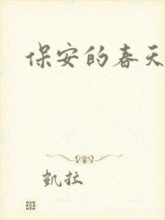 保安的春天