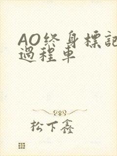 AO终身标记全过程车