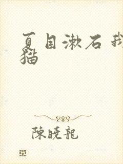 夏目漱石 我是猫