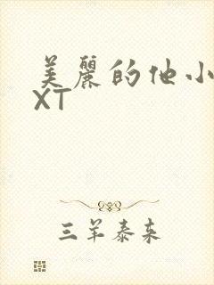 美丽的他小说TXT