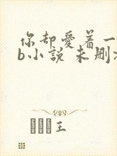 你却爱着一个sb小说 未删减完整版百度云