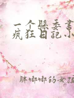 一个县委书记的疯狂日记小说