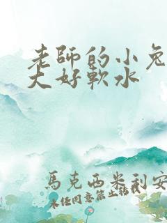 老师的小兔子好大好软水