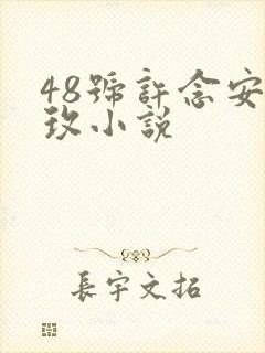 48号许念安穆玫小说