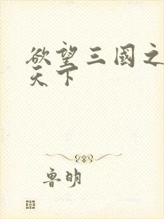 欲望三国之独占天下