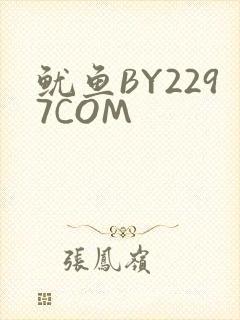 鱿鱼BY2297COM