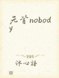 元首nobody