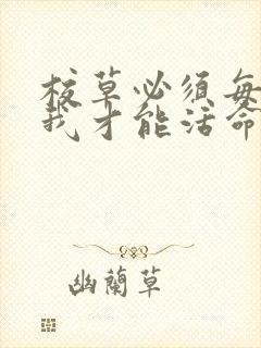 校草必须每天吸我才能活命[穿书]