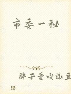 市委一秘