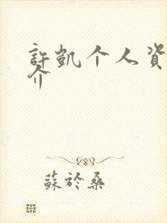 许凯个人资料简介