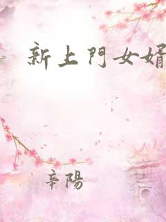 新上门女婿下载
