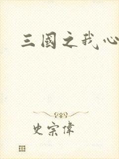 三国之我心狂想