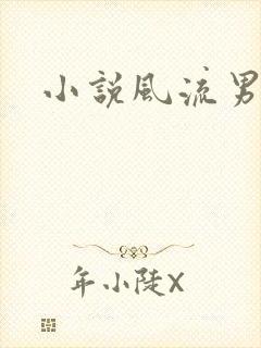 小说风流男护理