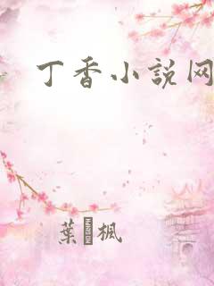 丁香小说网