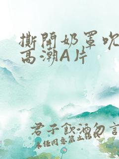 撕开奶罩吮奶头高潮A片