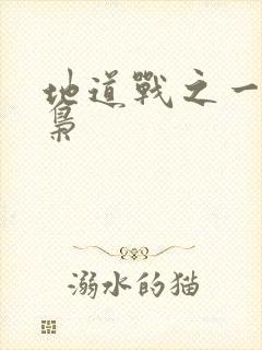 地道战之一代功枭