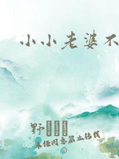 小小老婆不受宠