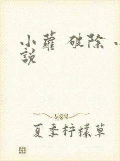 小萝 破除 小说