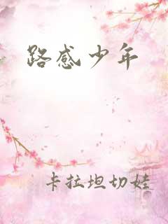路感少年