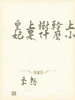 皇上树干上太子妃是什么小说