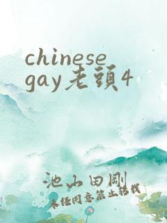 chinesegay老头4