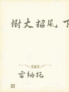树大招风 下载
