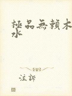 极品无赖木石山水