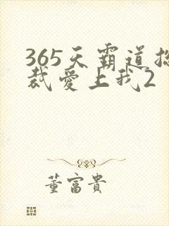 365天霸道总裁爱上我2