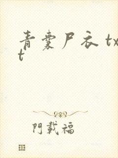 青囊尸衣 txt