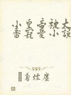 小皇帝被大臣轮番宠爱小说