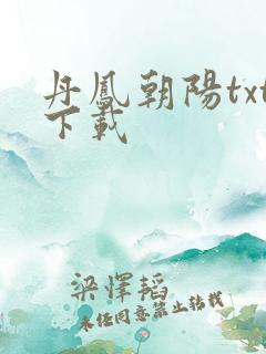 丹凤朝阳txt下载