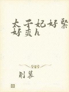 太子妃好紧皇上好爽h