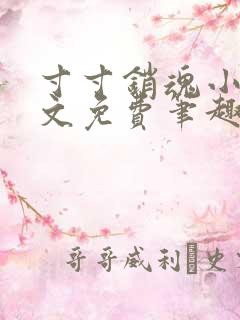 寸寸销魂小说全文免费笔趣阁