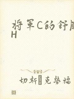 将军C的舒服么H