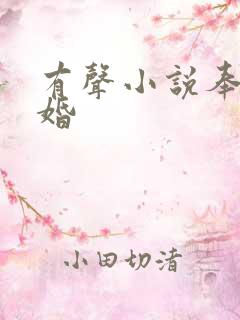 有声小说奉子成婚