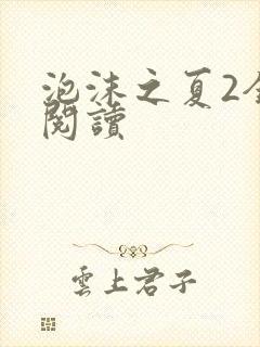 泡沫之夏2全文阅读
