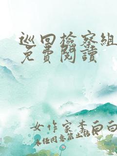 巡回检察组小说免费阅读