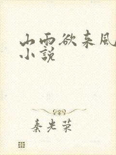 山雨欲来风满楼小说