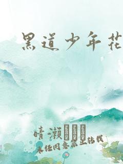 黑道少年花丛游